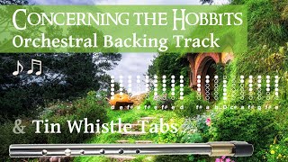 Concerning the Hobbits LOTR  Orchestral Backing Track amp Tin Whistle TABS [upl. by Ilagam]