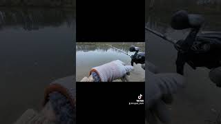 angeln twitchbait madmax nays lifestyle fishing raubfisch [upl. by Laekim]