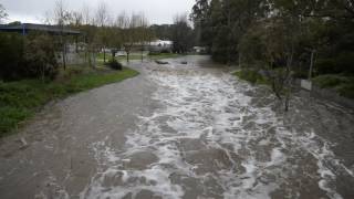 hutt river flowing in Clare South Australia [upl. by Aluk]