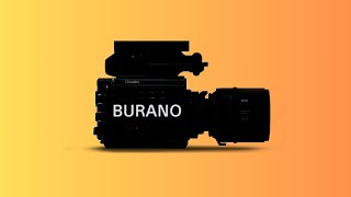 Sony Burano  Affordable Venice CineAlta Full Frame Netflix Camera [upl. by Aihpled]