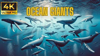 Ocean Giants 4K  Majestic Whales of the Deep  Marine Life  Haven of Wildlife Relaxation Film [upl. by Novyart]