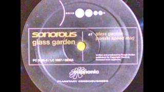 Vinyl Sonorous  Glass Garden Ronski Speed Remix [upl. by Ahsitra285]