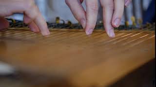 Playing the ethnic zither instrument Free HD video footage [upl. by Ailsun]