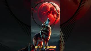 shortvideo wolf viralvideo remixvypシ [upl. by Ahsenwahs936]