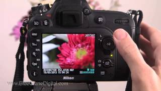 Introduction to the Nikon D7100 Basic Controls [upl. by Anrak285]