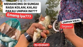 SUNGAI ATAU KOLAM⁉️STRIKE BABON NILEM TERUS‼️‼️ Fishing Trip River Yogyakarta [upl. by Norvin]