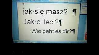 Polnisch für Anfänger  wichtige Wörter und Redewendungen [upl. by Eniamaj]