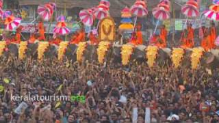 Thrissur Pooram Kerala [upl. by Enamart]