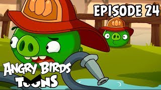 Angry Birds Toons  Hog Roast  S1 Ep24 [upl. by Shamus]