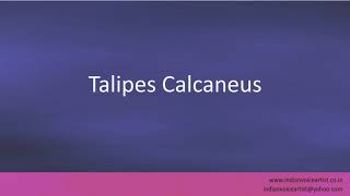 Pronunciation of the words quotTalipes Calcaneusquot [upl. by Nioe558]