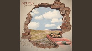 Stupid [upl. by Naor]