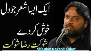 Shaukat Raza Shaukat  Best Majlis [upl. by Krista746]