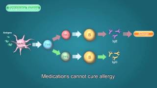 Allergy allergy drug allergy medication allergt treatement  CAAC [upl. by Fiedler663]