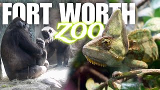 Fort Worth Zoo 2024 Full Tour  Fort Worth TX [upl. by Irabaj]