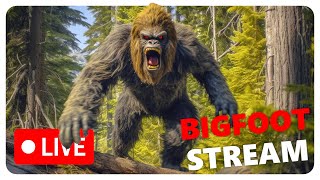 BIGFOOT Stream Hunting a Stanky Cryptid he got them big dawgs [upl. by Justus]