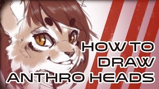 Furry Art 101  How to draw the anthro head Redone [upl. by Nnaeitak]