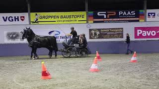 Fahrturnier Emlichheim 26102024 Euregio Cup [upl. by Baler]