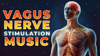 528Hz Vagus Nerve Stimulation Meditation Music  Parasympathetic Nervous System Healing Frequency [upl. by Schnell]