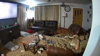 Ceiling Drywall Collapses on Man and Dog Watching TV on the Couch  1345759 [upl. by Avron]