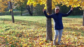 Most Beautiful Color of the Year  Eleksa Finoy finland autumnwalk [upl. by Aicargatla]