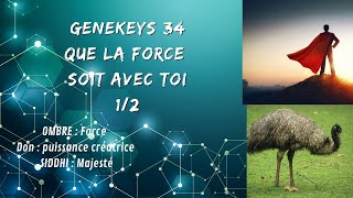 Genekeys 34  arrêter de forcer les choses [upl. by Lester526]