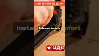 DIY Cat Shelves Easy amp Fun [upl. by Vikky711]