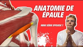 Anatomie de lÉpaule  Tout Ce Que Vous Devez Savoir  💪🦴 [upl. by Argent947]