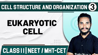 CELL STRUCTURE amp ORGANIZATION 03  Eukaryotic Cell  Zoology  Class 11HSCNEETMHTCET [upl. by Gard799]