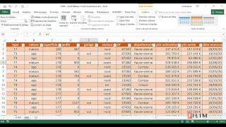 Excel  3 Avancé  Cours Tableau Croisé Dynamique 1 [upl. by Yve944]