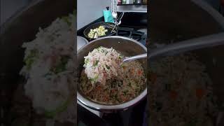 Todays Special Lunchbox fried rice and chilli [upl. by Brandyn]