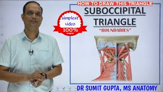 SUBOCCIPITAL TRIANGLE  Boundaries [upl. by Kath]