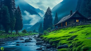 Beautiful Relaxing Music  Stop Overthinking Stress Relief Music Sleep Music Calming Music 60 [upl. by Hulburt]