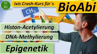 Epigenetik  HistonAcetylierung und DNAMethylierung detailliert und mit Anwendungsaufgabe BioAbi [upl. by Ezirtaeb]