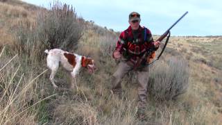 Thanksgiving Partridge Hunt 2016 [upl. by Spiegleman]