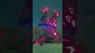 Nintendo Switch The Legend of Zelda Breath of the Wild Gameplay nintendogame zelda [upl. by Jaclin931]