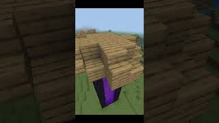 Sword Nether Portal minecraft [upl. by Eiuqcaj]