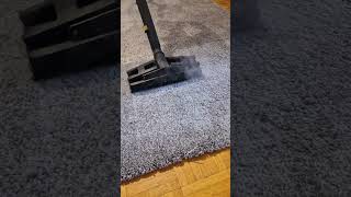 Teppichreinigung Carpet cleaning furniturecleaning carpetcleaning teppiche [upl. by Suoicul]