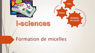 Formation de micelles [upl. by Nueovas]