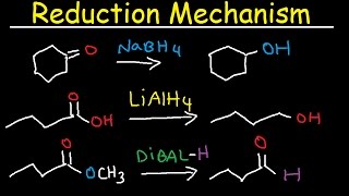 NaBH4 LiAlH4 DIBAL Reduction Mechanism Carboxylic Acid Acid Chloride Ester amp Ketones [upl. by Vasta]