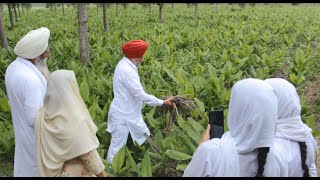 New Steps in Natural Farming ਕੁਦਰਤੀ ਖੇਤੀ ਵਿੱਚ ਨਵੀਆਂ ਪੁਲਾਂਘਾਂ S Rajbir Singh [upl. by Attenoj113]