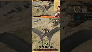 Bird Tactics 🪶 murrocity on Twitch 🪶 PathOfTitans [upl. by Sussman486]