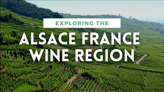 ALSACE FRANCE WINE REGION OVERVIEW  Plus Pinot Gris Review [upl. by Esnofla]