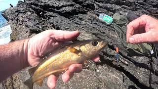 Anglesey Rock Fishing [upl. by Ahseral]