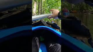 Rafting in Palushi Lithuania passing small forest river Part 49 rafting travel river bridge [upl. by Aniale]