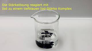 Temperatur und Reaktionsgeschwindigkeit RGT Regel [upl. by Okuy]