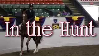 Big E Horse Show Vignette 15  In The Hunt [upl. by Gausman]