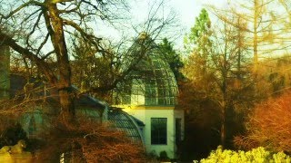 Palmengarten Frankfurt Main im Winter 2016★Palm Garden Frankfurt Germany [upl. by Comras]