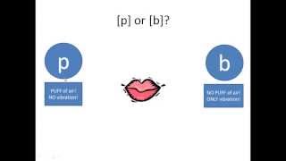 Park and Bark The Difference Between Voiced and Voiceless Consonants [upl. by Anivas]