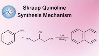 Skraup Quinoline Synthesis Mechanism  Organic Chemistry [upl. by Monro378]