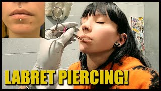 Getting My LABRET Pierced  amp The First Week Healing [upl. by Elak]